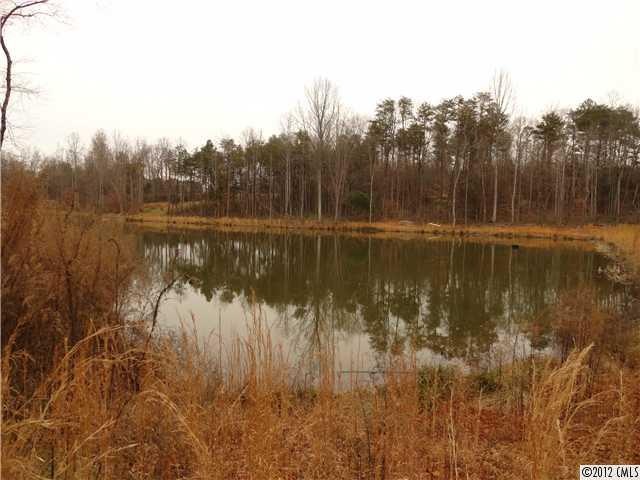 Pond/Lake