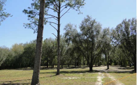 TBD Horizon St, Lake City, FL 32055 - photo 1