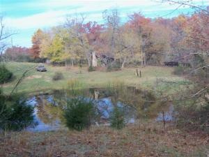 Spring fed pond