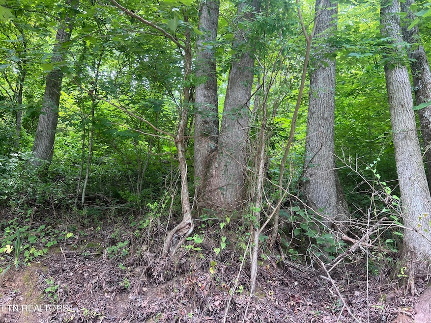 89 Branch Connector Rd, Flat Lick, KY 40935 - photo 1