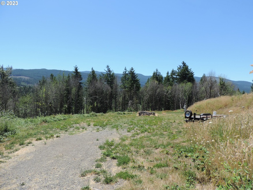 314 Thistledown Ln unit Lot 4, Gates, OR 97346 - photo 1