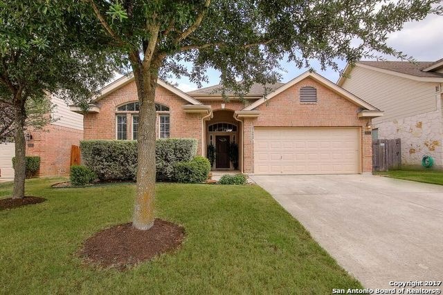 8414 Grapevine Pass, San Antonio, TX 78255 - photo 1