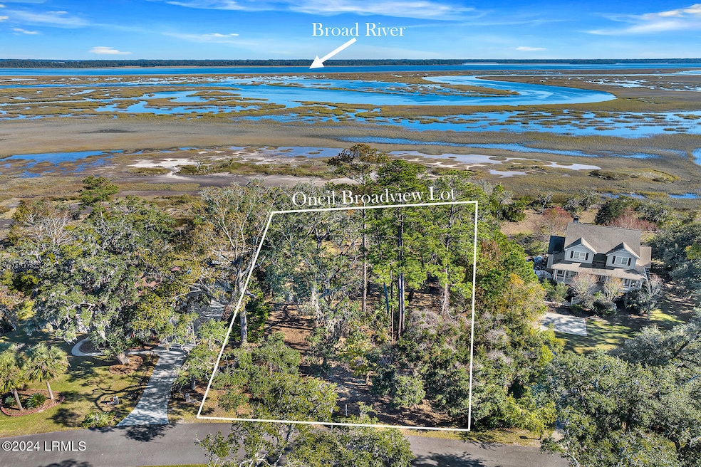 TBD Broadview Dr, Ridgeland, SC 29936 - photo 1