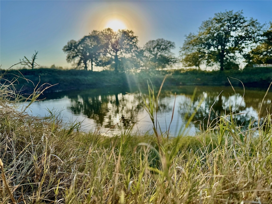 14114 Howard Lake Ct, Lipan, TX 76462 - photo 1