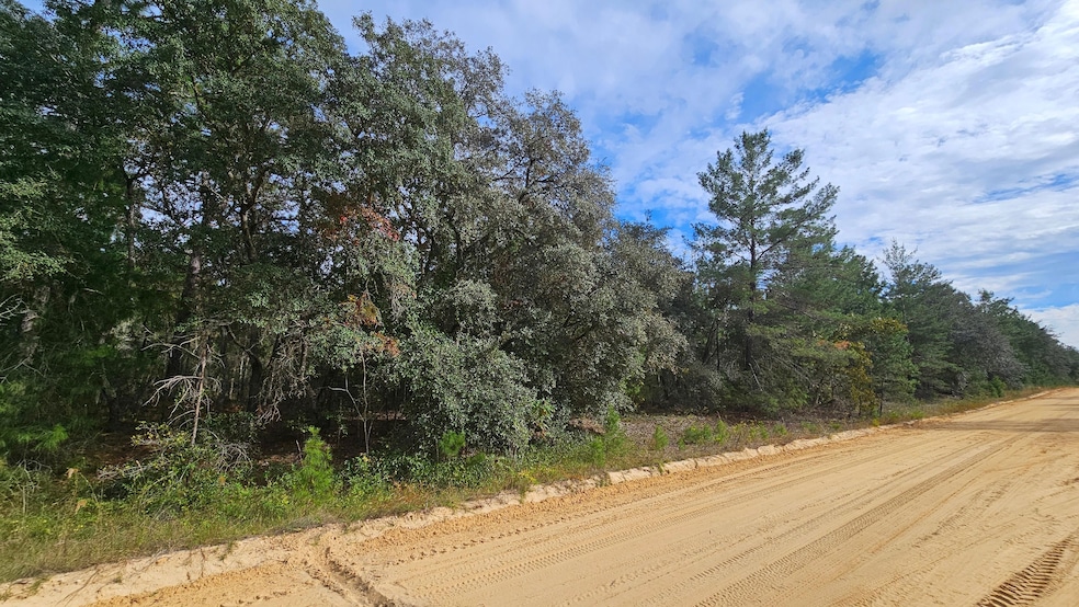 0 Michael Ave unit 25580690, Interlachen, FL 32148 - photo 1