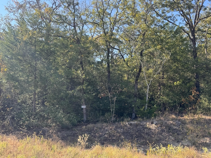 2308 Myrtle Ln, Cameron, TX 76520 - photo 1