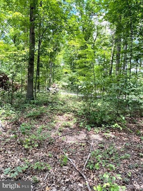 34R & 37R Arrowhead Rd, Front Royal, VA 22630 - photo 1