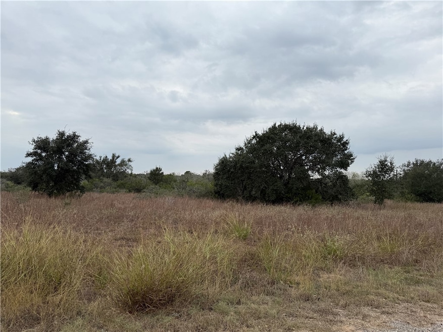 000 Cherry, Beeville, TX 78102 - photo 1