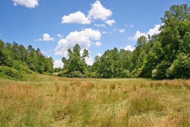A Grassy Meadow Along Pruitt Creek