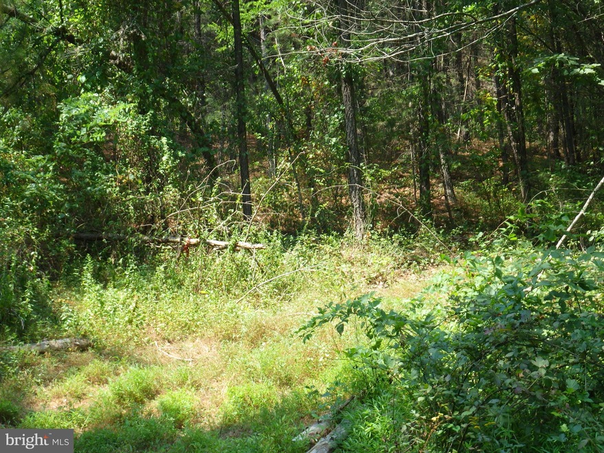 3269 Black Oak Rd, Warfordsburg, PA 17267 - photo 1