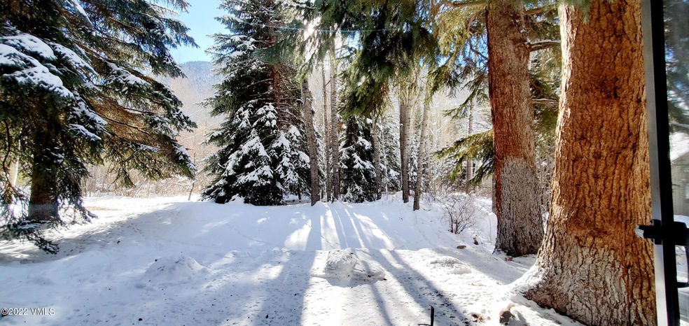 Winter yard