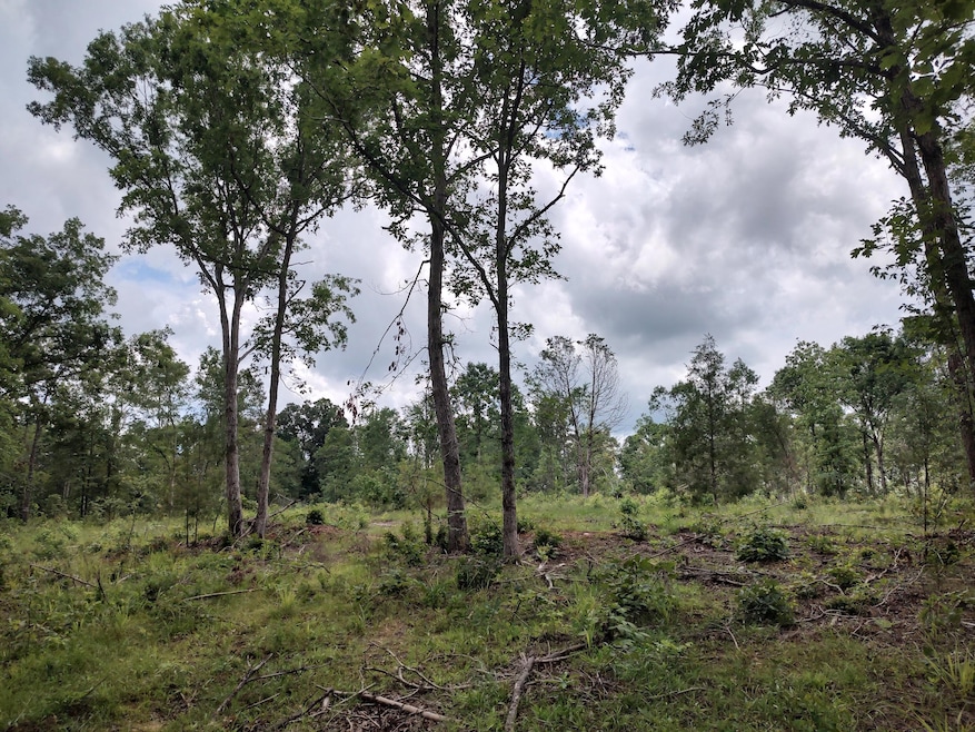 IMG_20250611_133232742_HDR