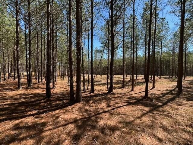 0 Worley Rd unit RTC2810073, Soddy-Daisy, TN 37379 - photo 1