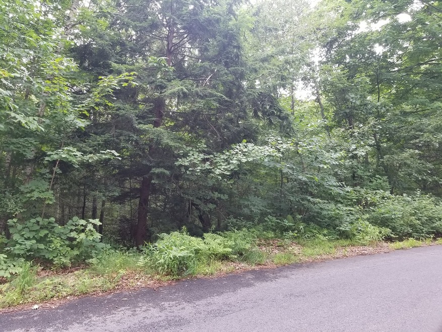 106 Old Princeton Rd, Hubbardston, MA 01452 - photo 1