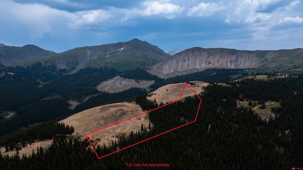 10+ acres on forested ridge above Tin Cup, CO