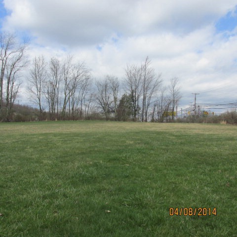 Main View