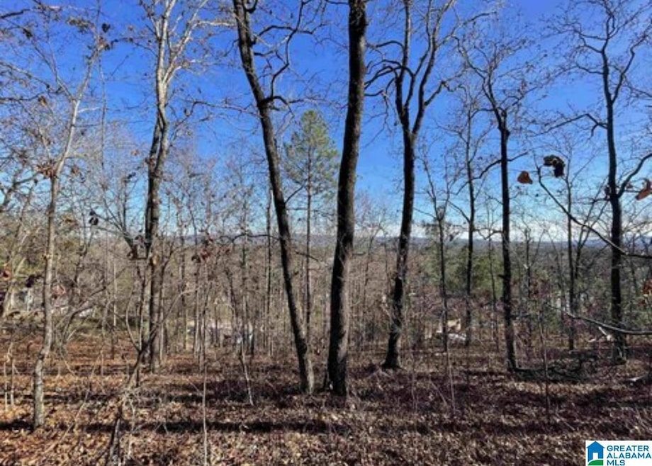 1429 Hilltop Terrace, Moody, AL 35004 - photo 1