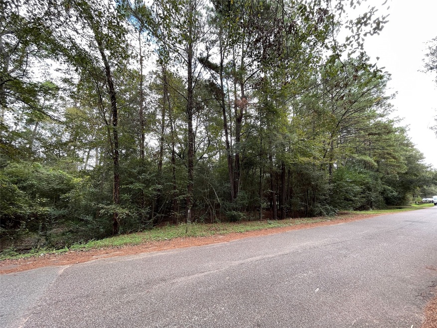 29714 Sweetwater St, Magnolia, TX 77354 - photo 1