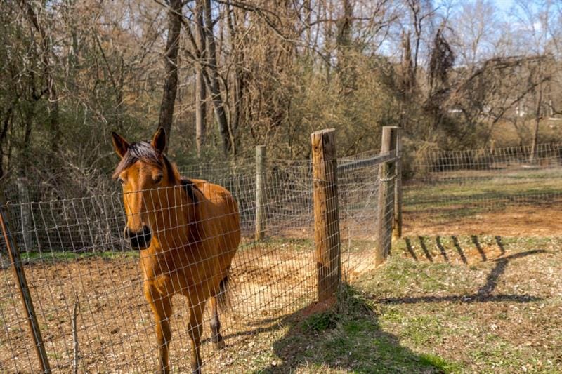 Georgous property in Cherokee County Horse Country