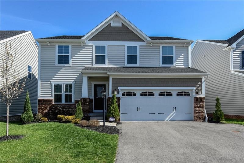 Outstanding 1 Year Young Colonial in Popular Cimar