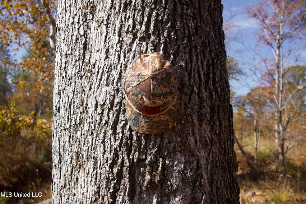 0 County Road 115, Carrollton, MS 38917 - photo 1