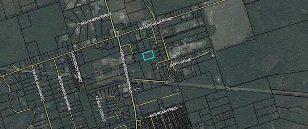 0 Pan Cera Dr, Crawfordville, FL 32327 - photo 1