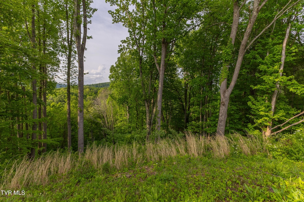 128A3696-HDR