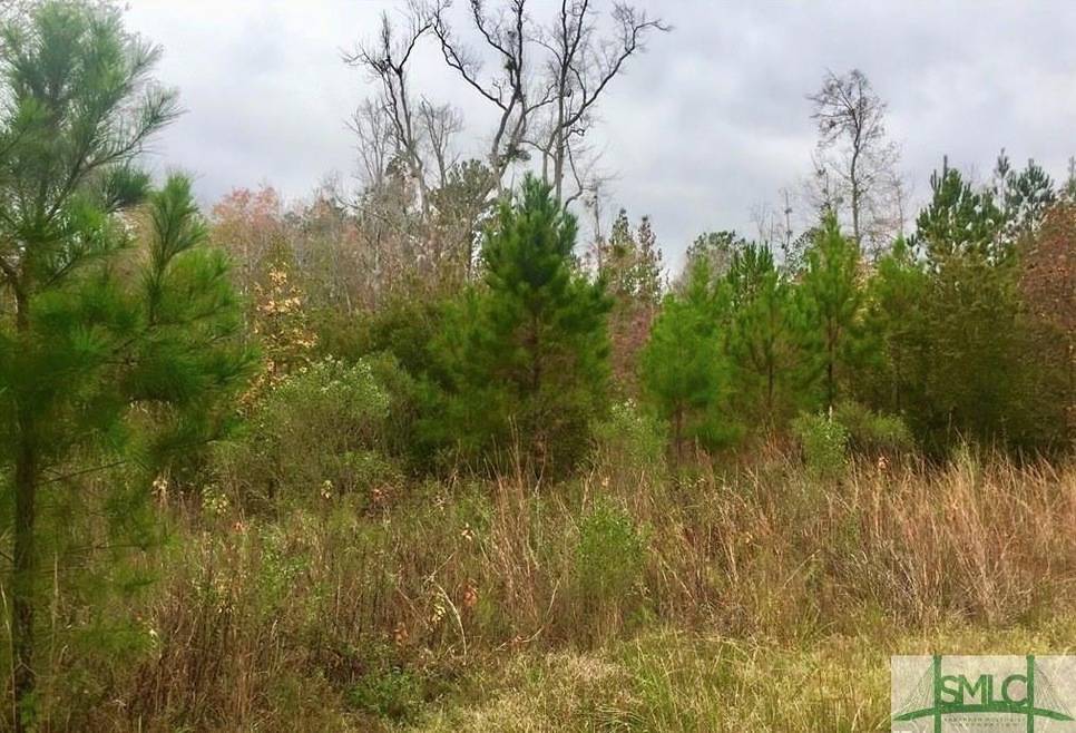 0 Hidden Creek Dr unit 219621, Guyton, GA 31312 - photo 1