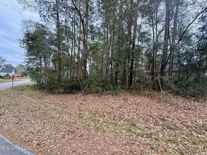 9560 Op La Way, Diamondhead, MS 39525 - photo 1