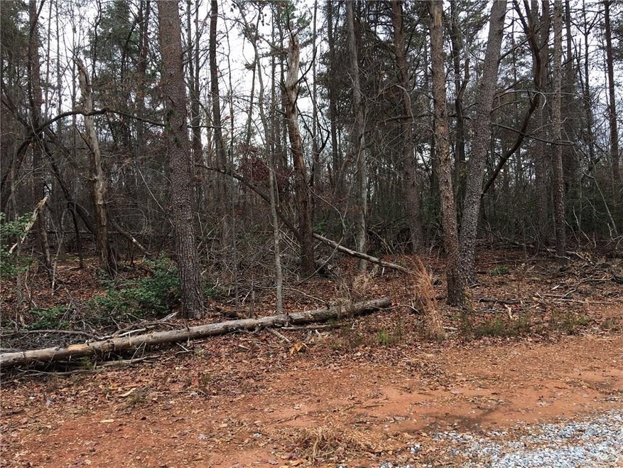 0 McDonald Rd unit 5780785, Dahlonega, GA 30533 - photo 1