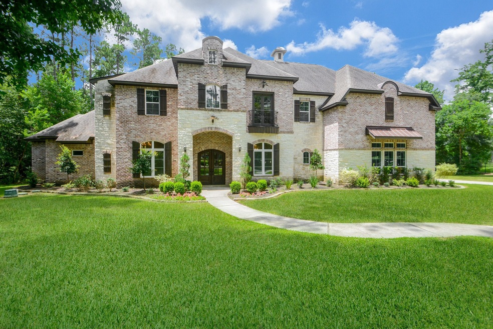 10233 S Autumn Leaf Cir, Magnolia, TX 77354 - photo 1