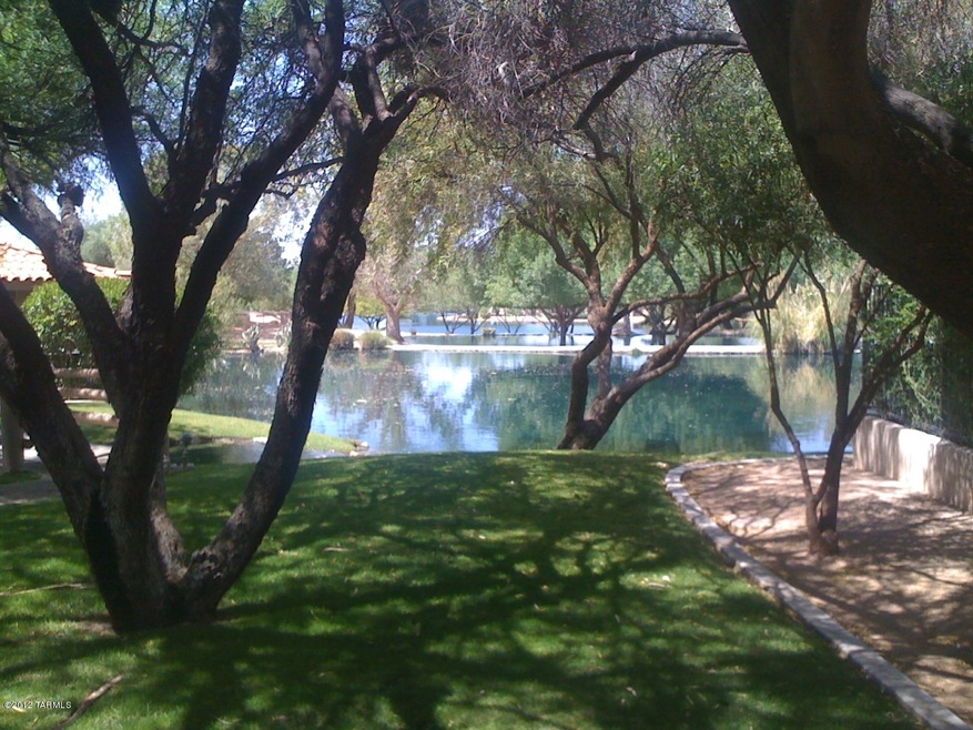 Lake Views