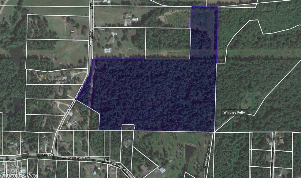 0 Mountain Home Rd, Paragould, AR 72450 - photo 1