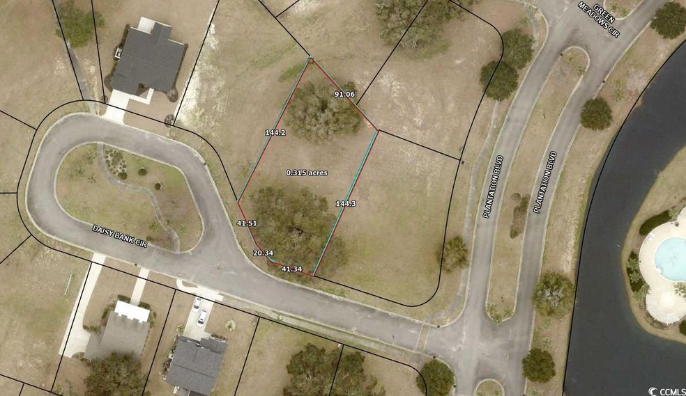 TBD Daisy Bank Cir, Georgetown, SC 29440 - photo 1