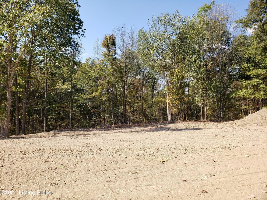 31 Goodlett Kilner Ct, Mount Washington, KY 40047 - photo 1