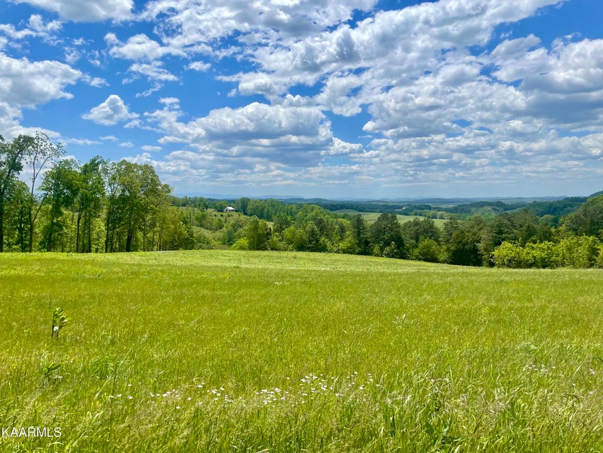 0 Clark Rd Somerset Farms Lot 5 unit 1226751, Rutledge, TN 37861 - photo 1