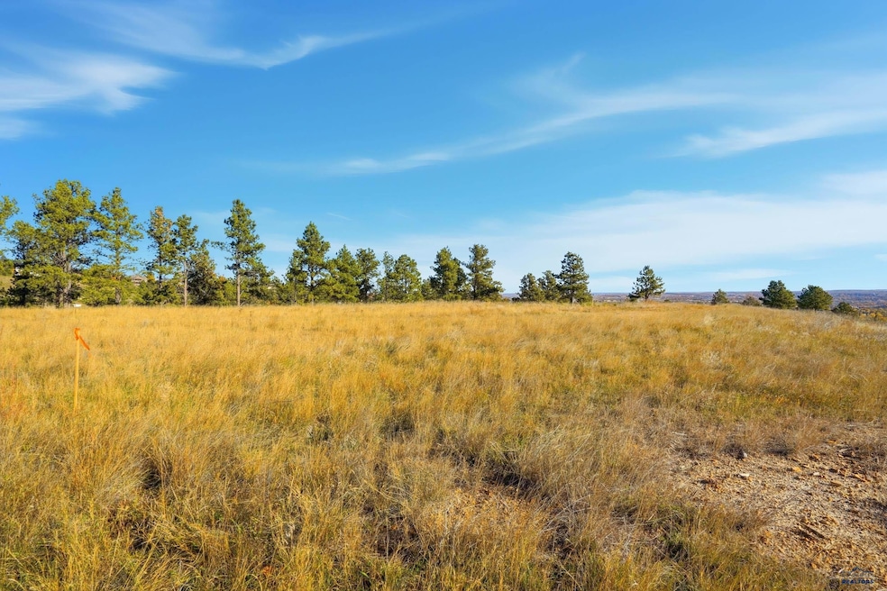 Lot17C W Minnesota St, Rapid City, SD 57701 - photo 1