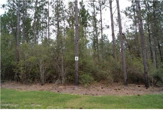 0 S Grand Bay Wilmer Rd unit A 0236582, Mobile, AL 36608 - photo 1