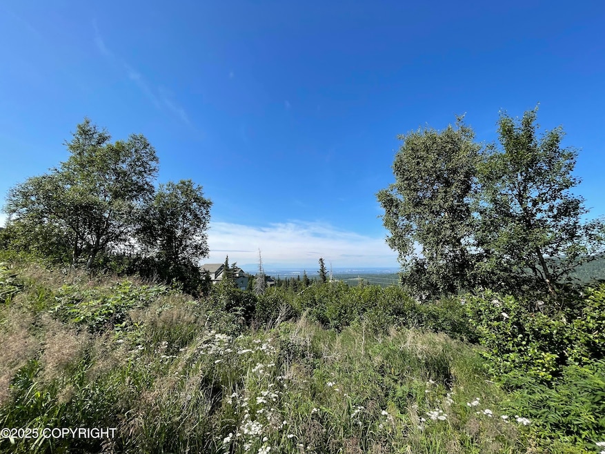 L15A B10H Harwood Cir, Anchorage, AK 99516 - photo 1