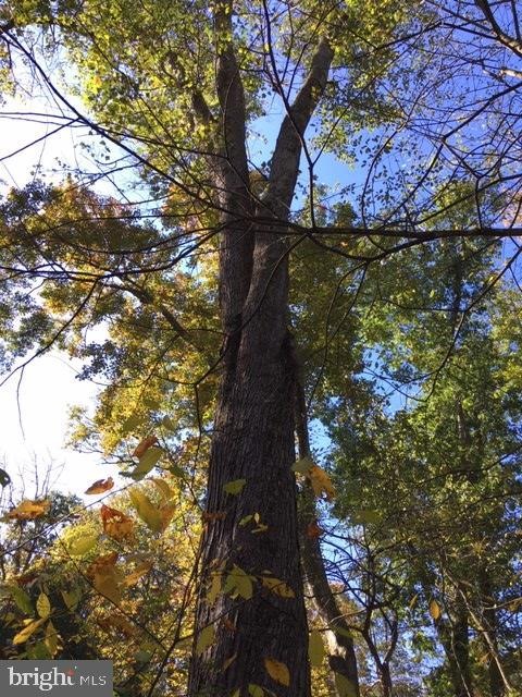 0 Pine Mountain Rd, Lock Haven, PA 17745 - photo 1