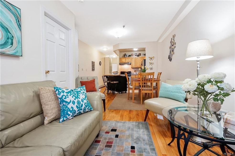 3099 Heath Ave unit 2D, Bronx, NY 10463 - photo 1