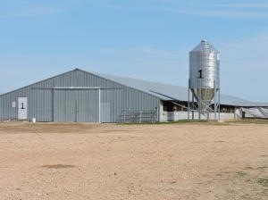 1-turkeyfarm