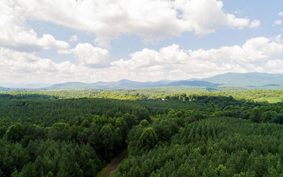LT33 Foxpaw Leaf Ln, Ellijay, GA 30540 - photo 1