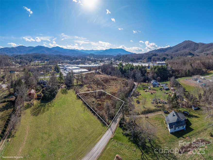 000 Calhoun Rd, Waynesville, NC 28786 - photo 1