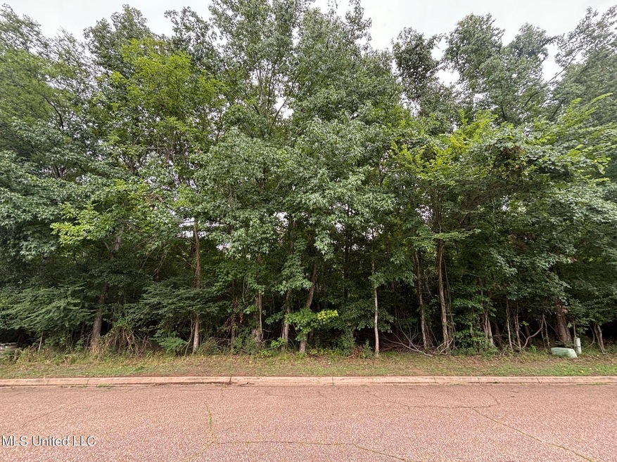 Front of lot
