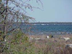 East view from shore