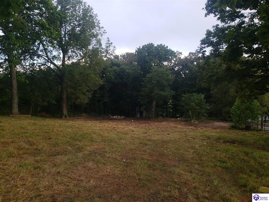 7495 Hardinsburg Rd, Cecilia, KY 42724 - photo 1