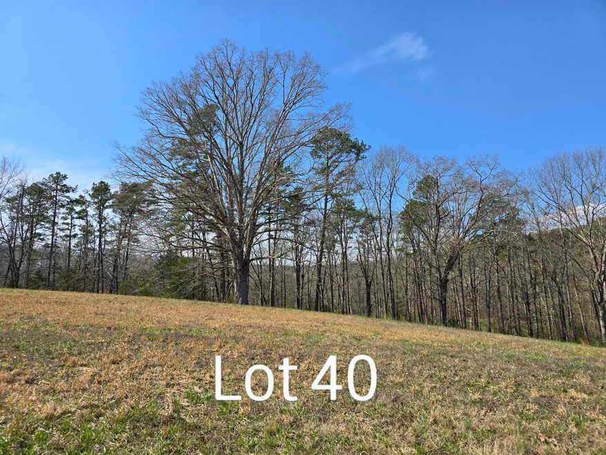 Sold $40,000 • Co-Listing Agent