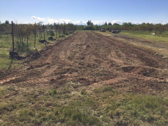 10922 E Jahant Rd, Acampo, CA 95220 - photo 1