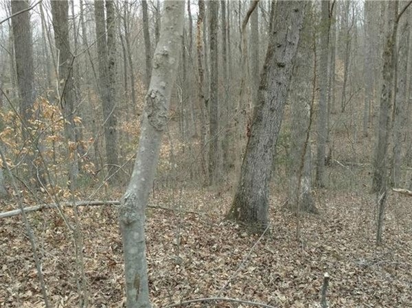 00 Sutton Rd, Webster, MA 01570 - photo 1